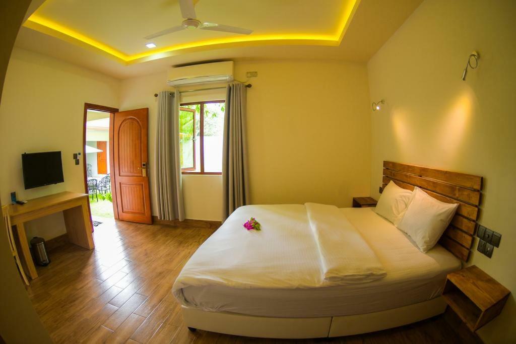 Tiger Shark Residence & Dive Fuvahmulah Zewnętrze zdjęcie